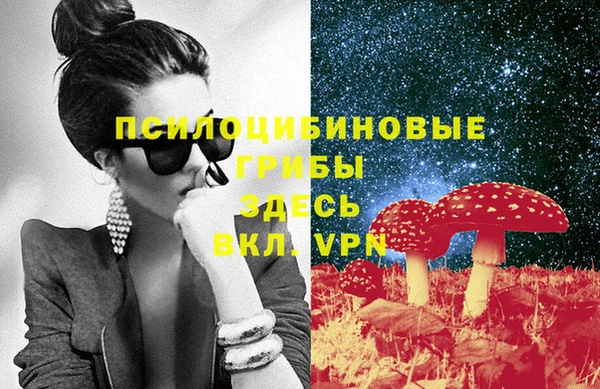 ешки Алексеевка