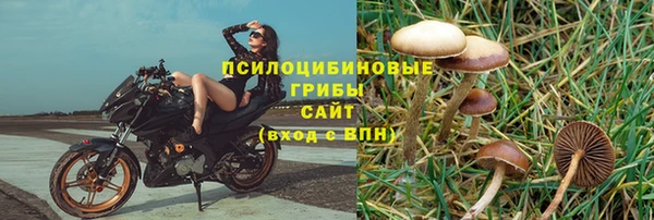 ешки Алексеевка