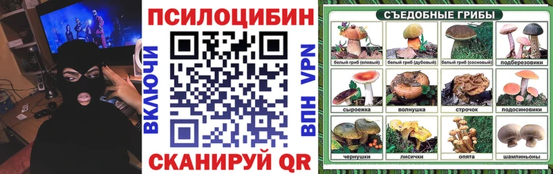 Псилоцибиновые грибы мухоморы Шадринск